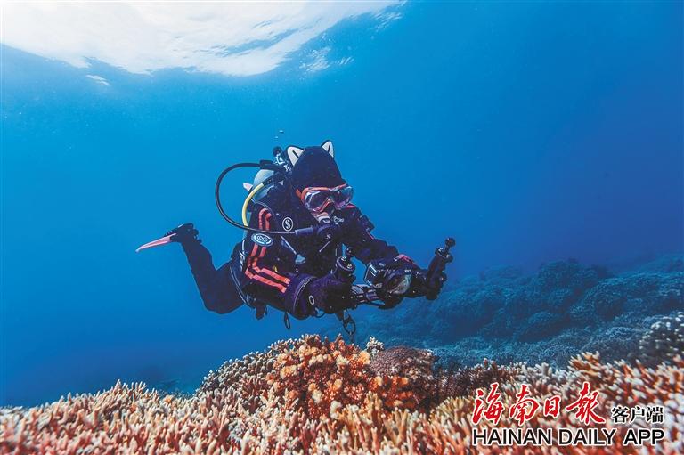 奋进新征程 逐梦自贸港丨三亚:绘就生态新画卷