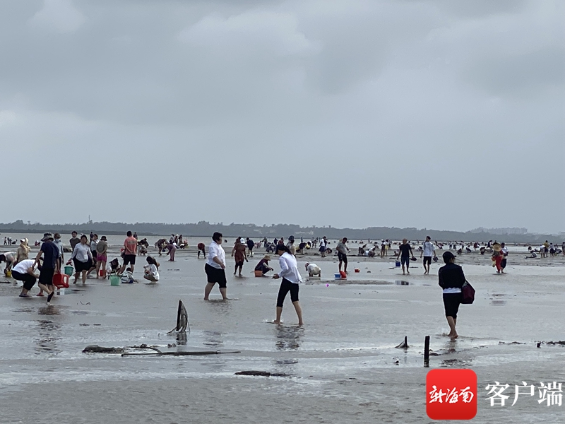 “赶海热”里念好“生态经” 探寻良性发展旅游新业态