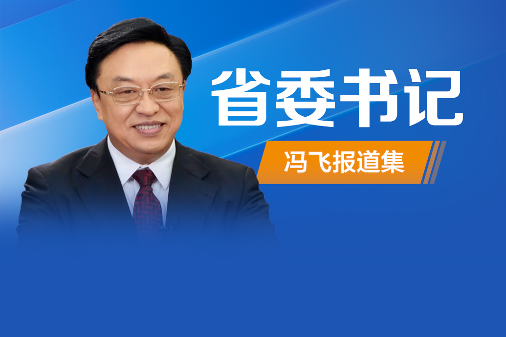 省委书记在忙啥——冯飞专集