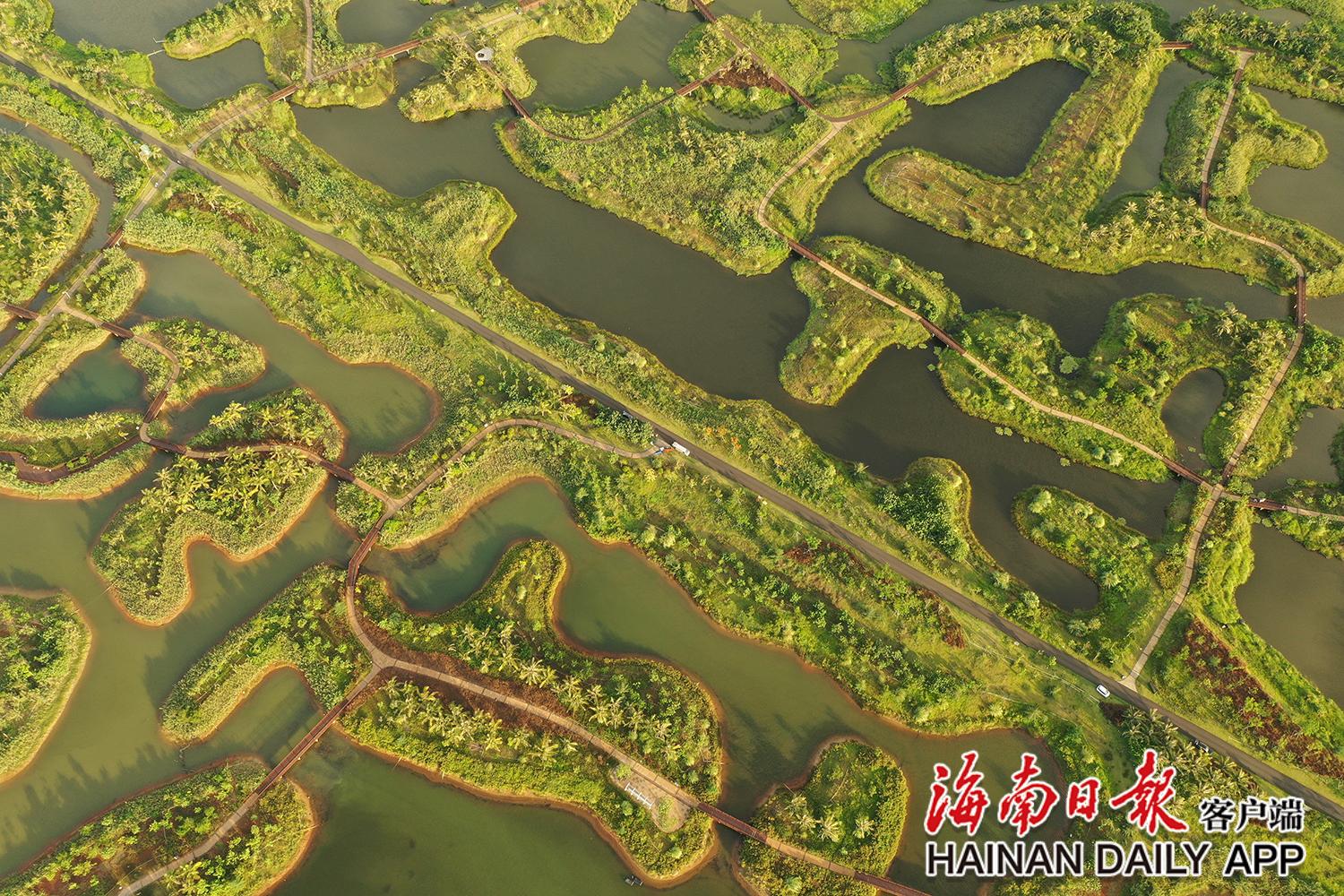 身边的幸福事｜海口迈雅河湿地公园生态修复旧貌换新颜