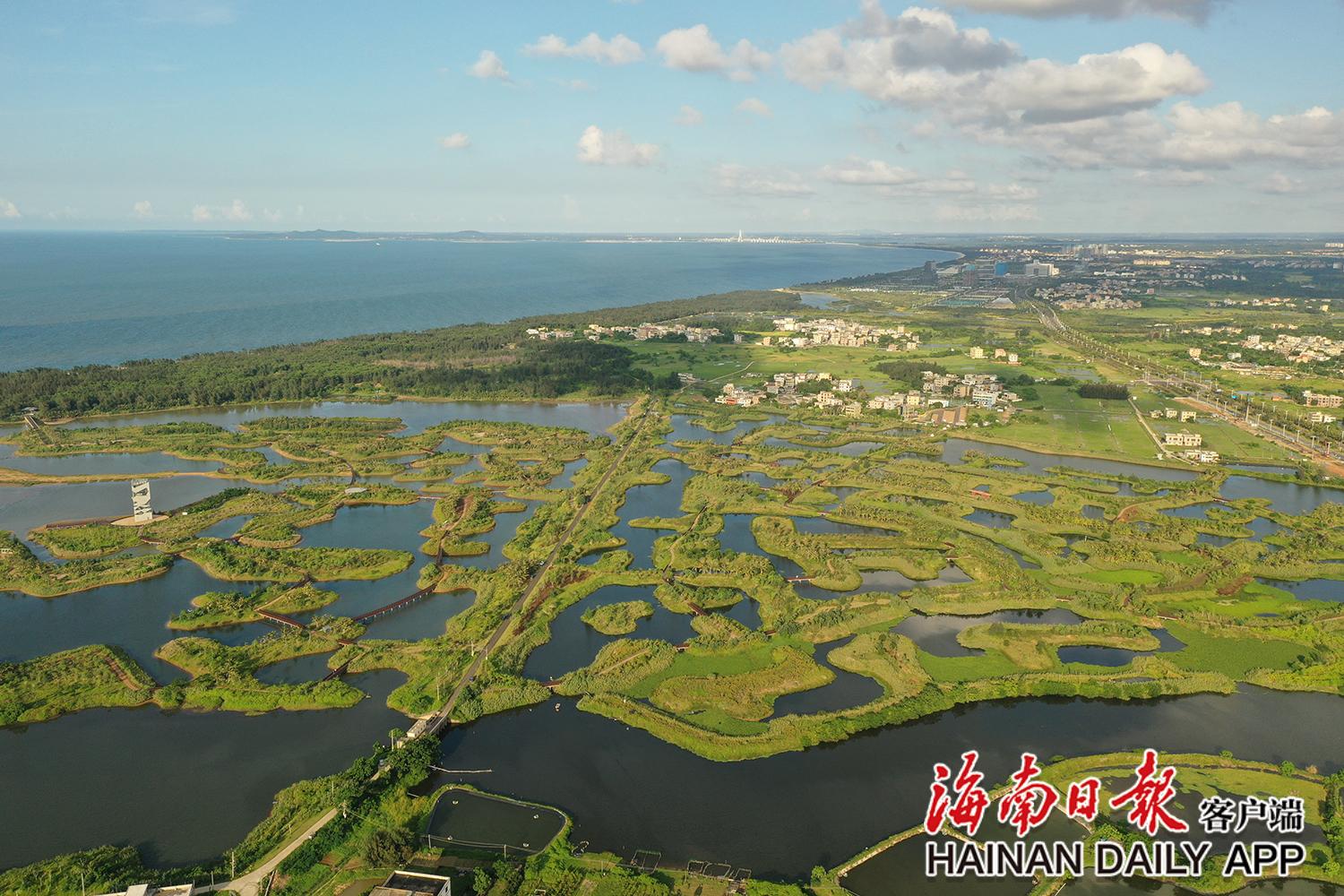 身边的幸福事｜海口迈雅河湿地公园生态修复旧貌换新颜
