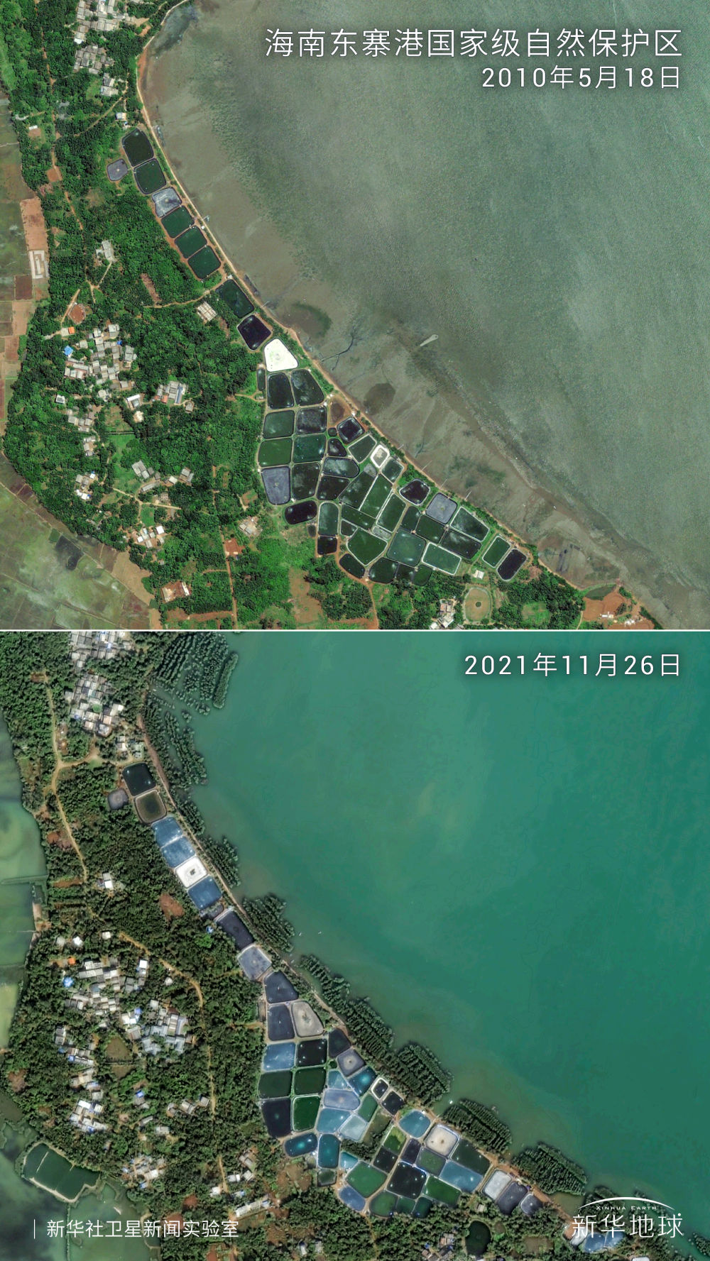 卫星瞰海南自贸港丨塘退还湿红树茂_海南新闻中心_海南在线_海南一家