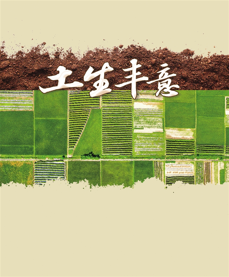 破解“土”密码!海南周刊聚焦“土生丰意”