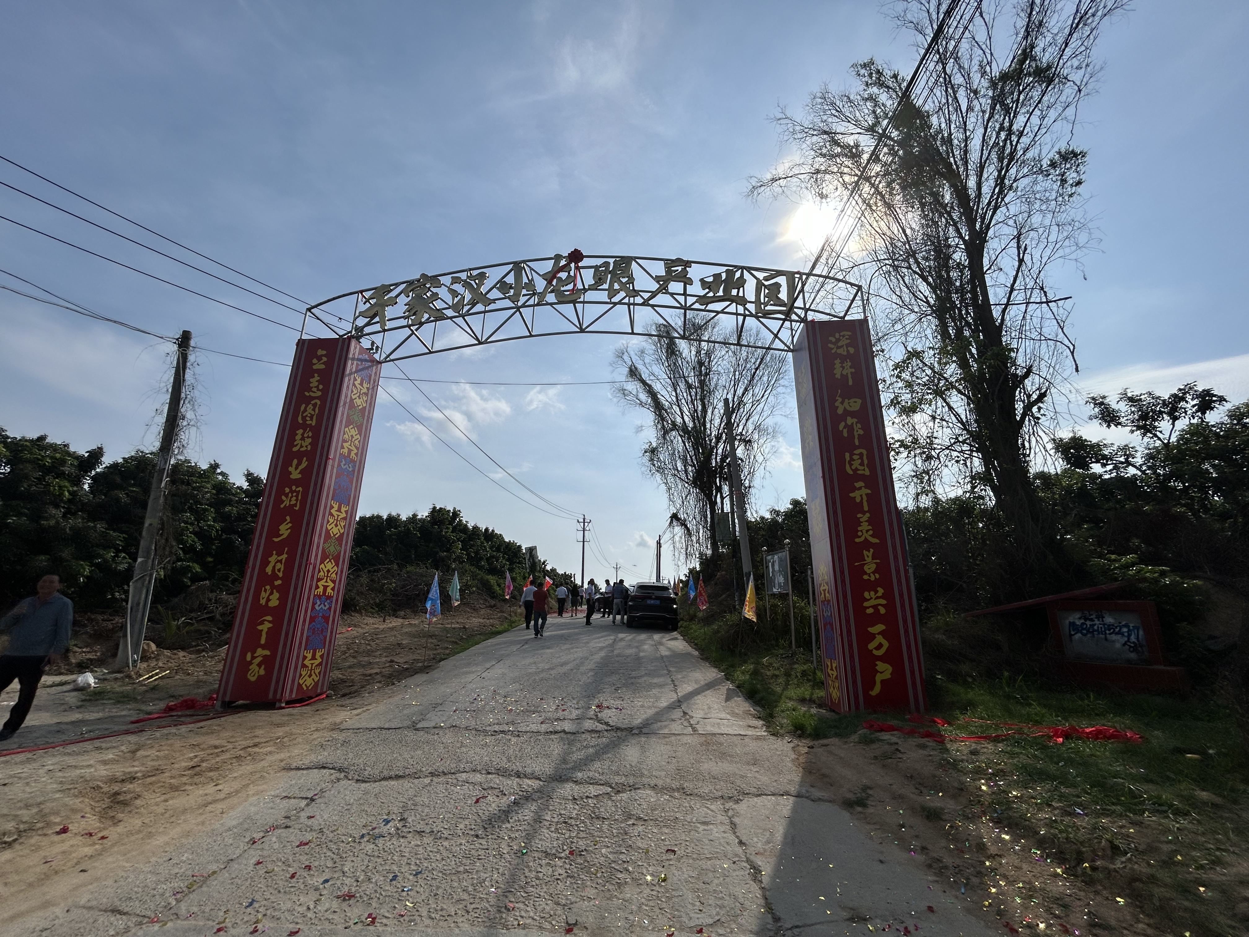 乐东千家镇汉小村龙眼产业园开园