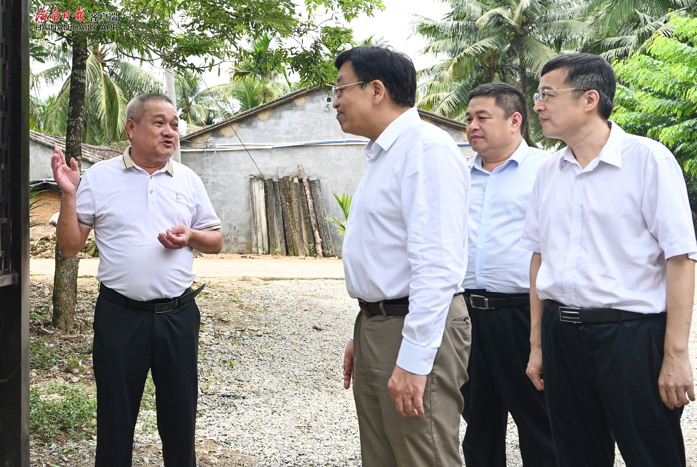 冯飞赴万宁调研:以“严实效”标准推动学习教育走深走实,以奋进之姿拼项目拼经济拼发展